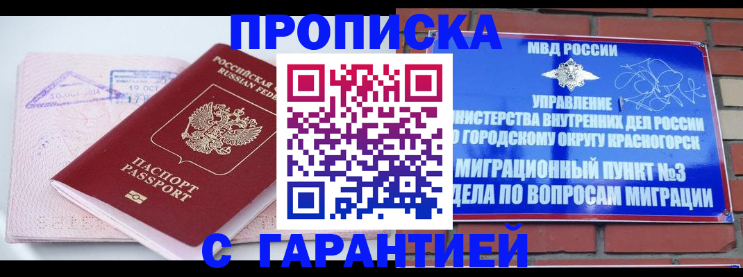 прописка законно в Завитинске